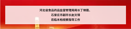 ​河北省食品药品监督管理局局长丁锦霞、 石家庄市副市长赵文锋 莅临禾柏视察指导工作