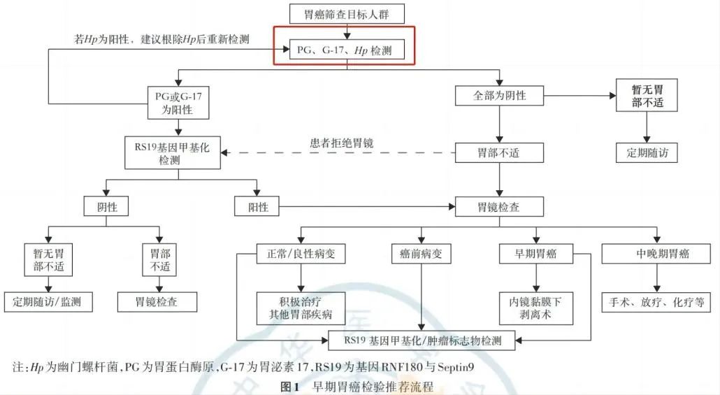 新平台 新项目——禾柏胃泌素17上市