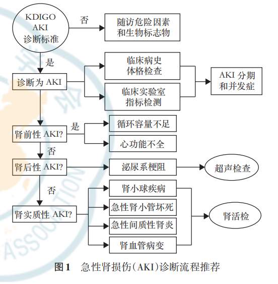 共识速读|中国急性肾损伤临床实践指南