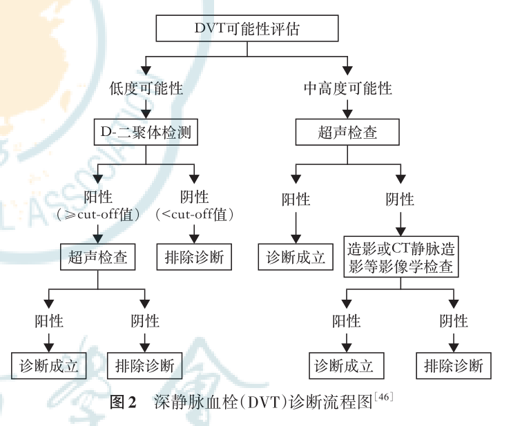 干货快码！D-二聚体9科室的临床应用