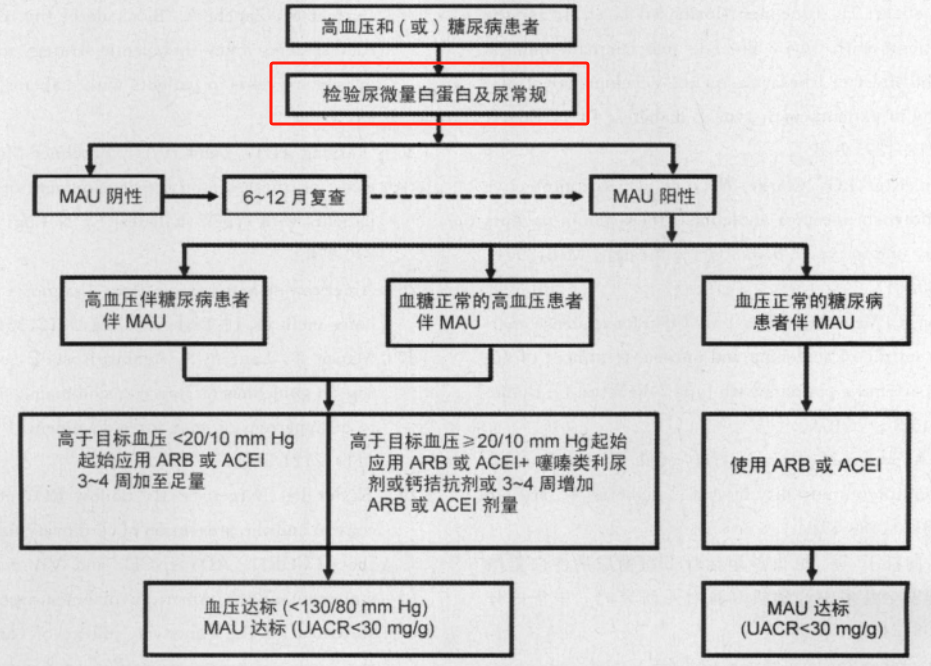 尿微量白蛋白临床意义全解读