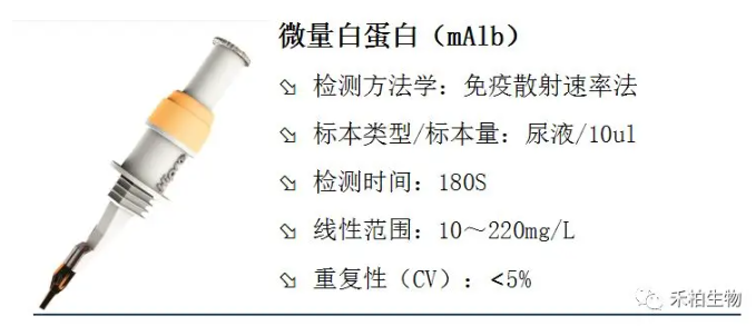 尿微量白蛋白临床意义全解读