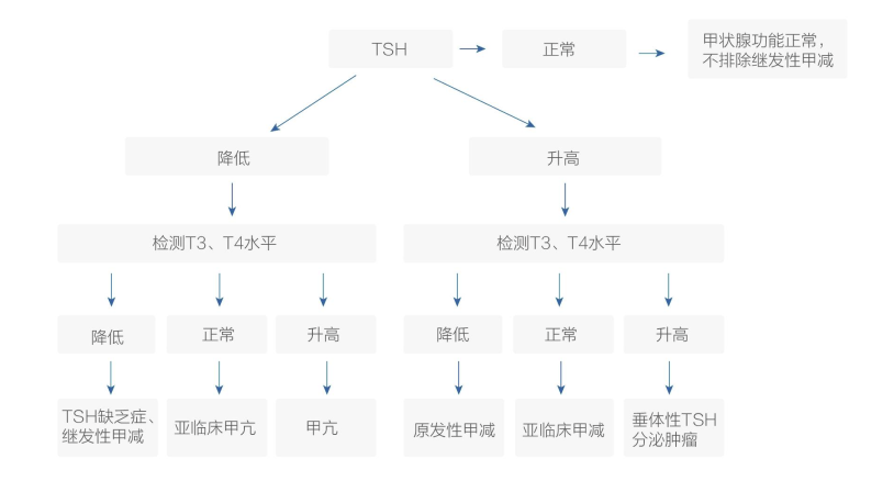 新平台 新项目——禾柏甲功三项介绍